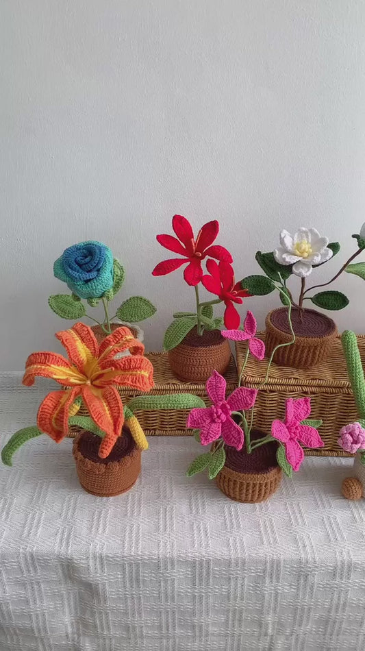 7 Flower Pots Crochet Patterns